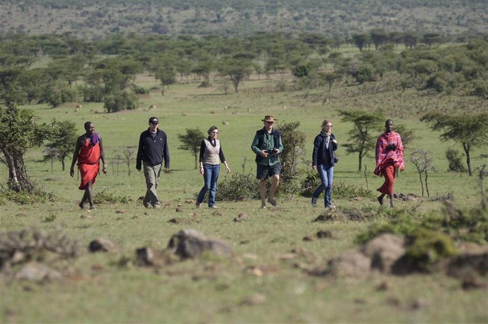 Porini Lion Camp